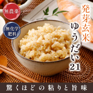 ha-yu21